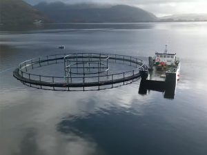 uco deep trekker Pivot water